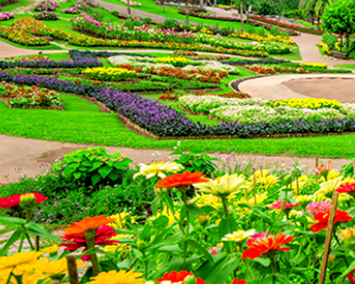 landscaping service delhi